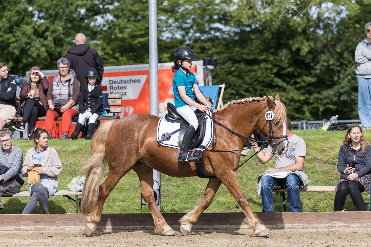 Bild 72 - Pony Akademie Turnier